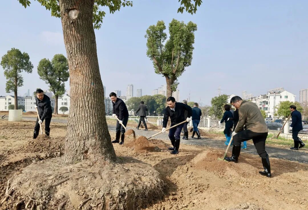 綠化好美諸暨，建設花園城市！市領導參加義務植樹活動